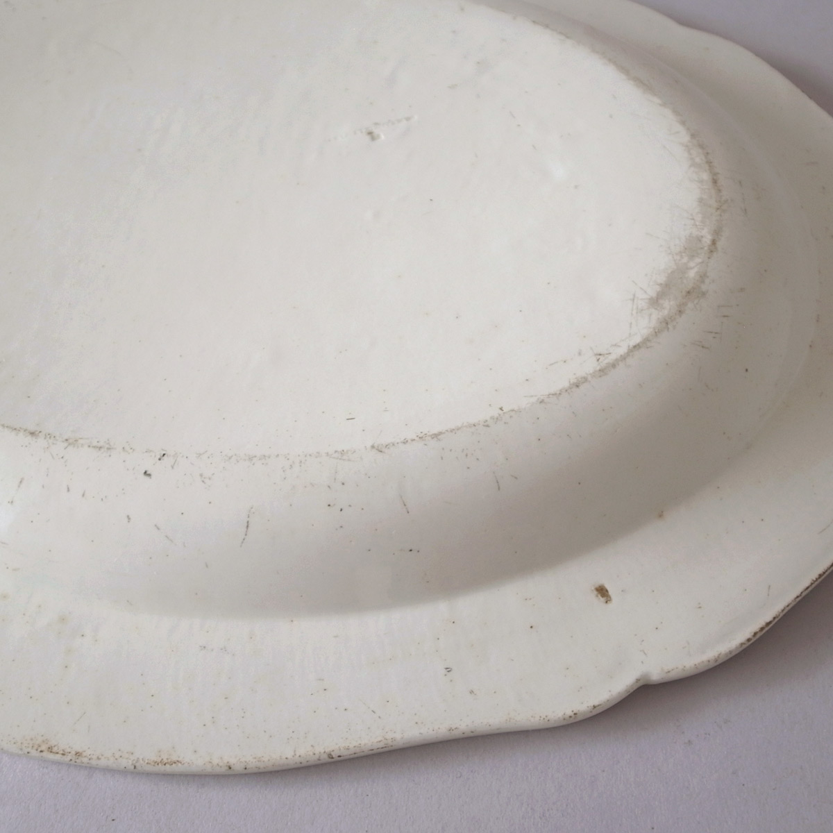 AeB[N I[oM(ALDROVANDI) | t@CAXtB[kie[Aj-image12