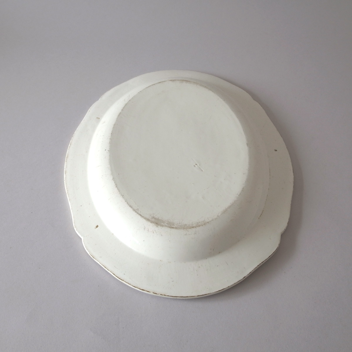 AeB[N I[oM(ALDROVANDI) | t@CAXtB[kie[Aj-image15