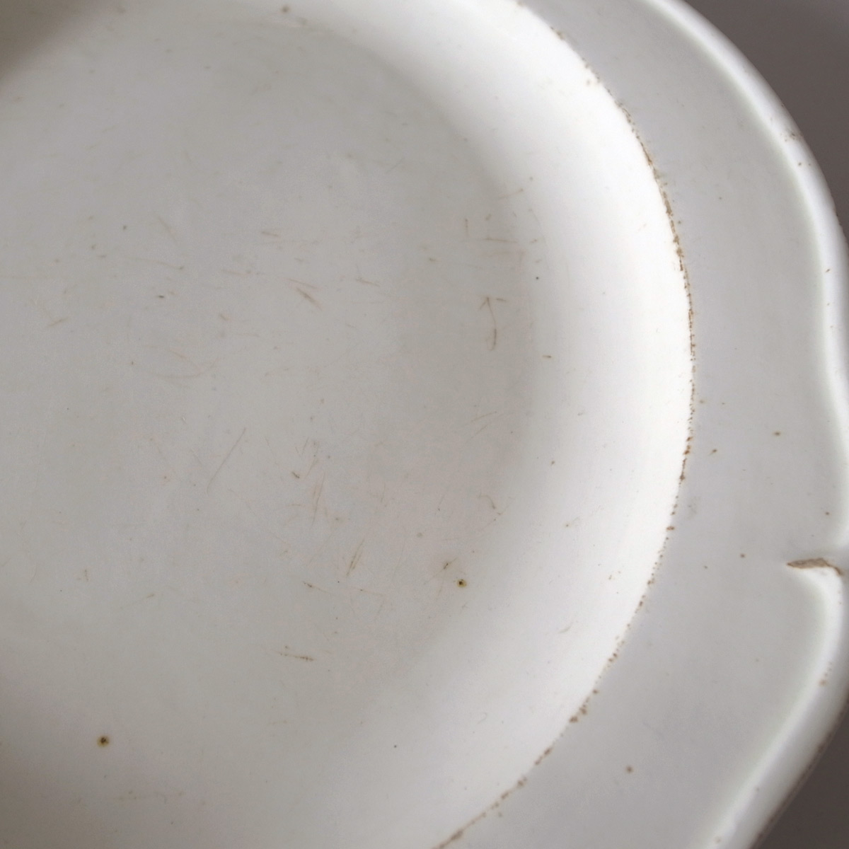 AeB[N I[oM(ALDROVANDI) | t@CAXtB[kie[Aj-image6