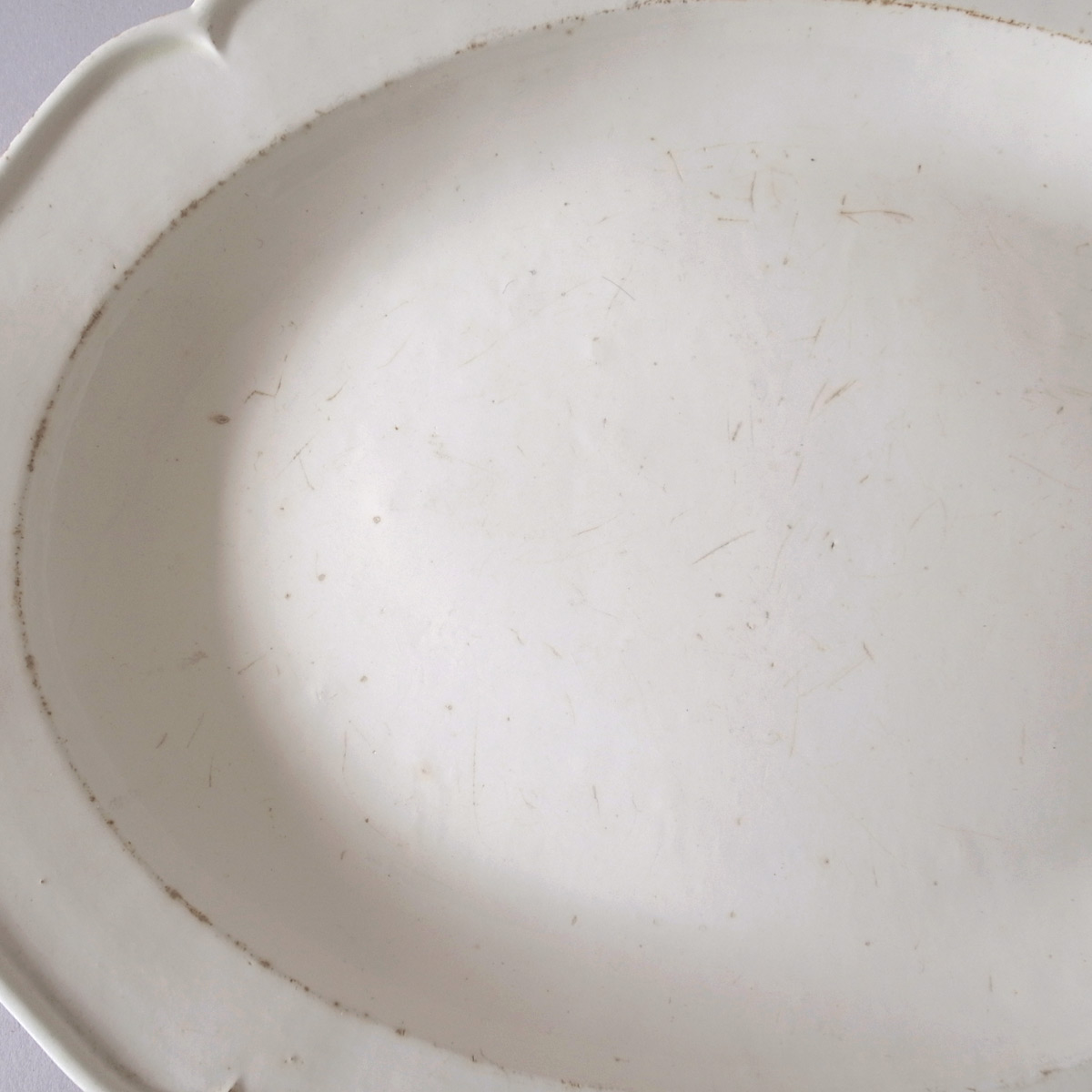 AeB[N I[oM(ALDROVANDI) | t@CAXtB[kie[Aj-image7