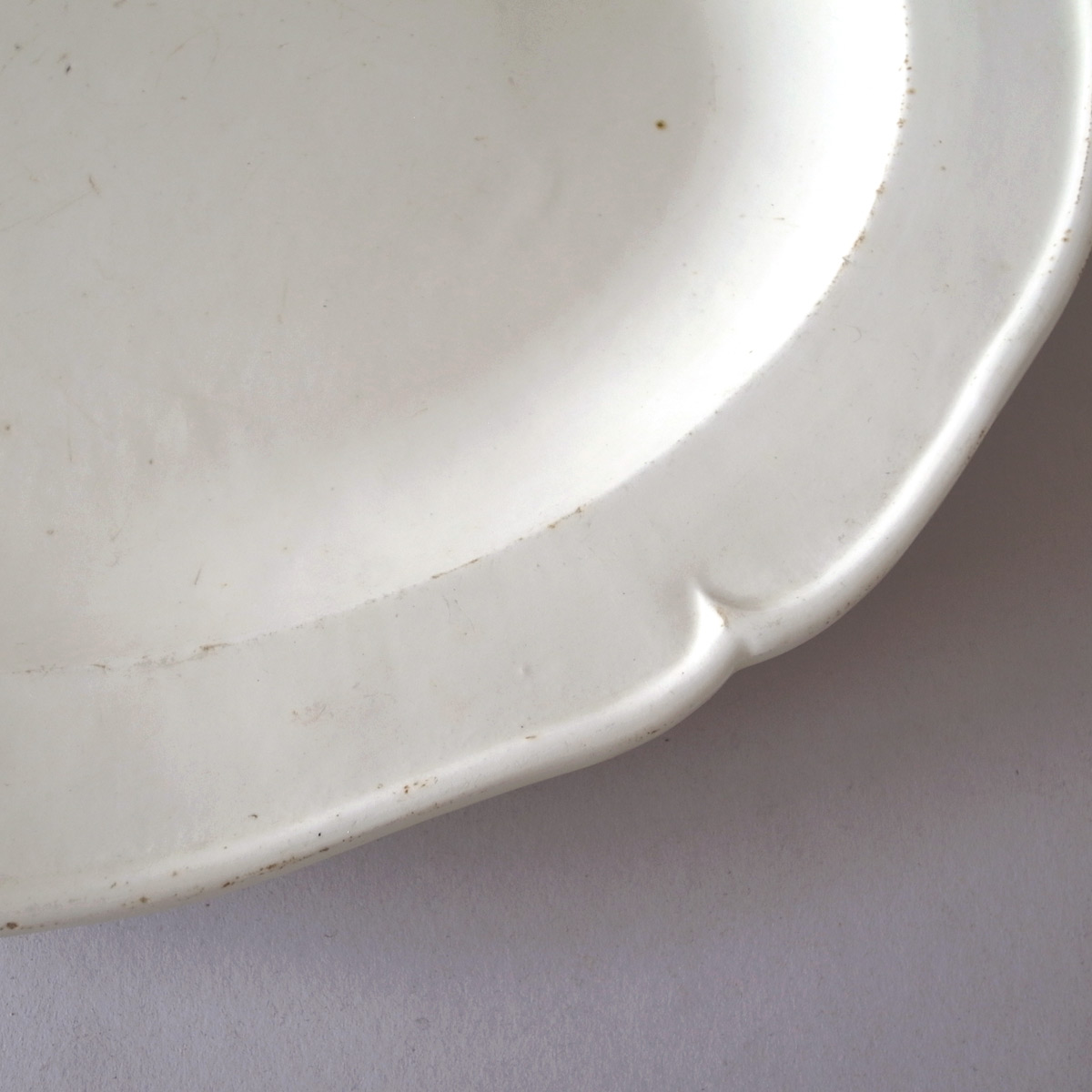 AeB[N I[oM(ALDROVANDI) | t@CAXtB[kie[Aj-image8