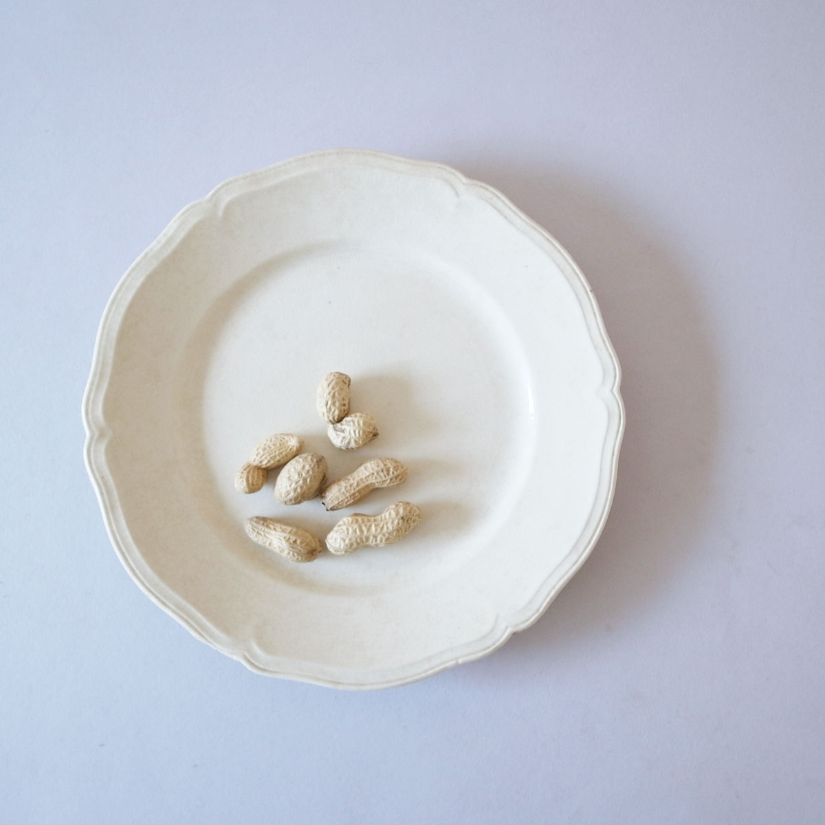 AeB[N 20I v[g(SCI) | ԃ-image15