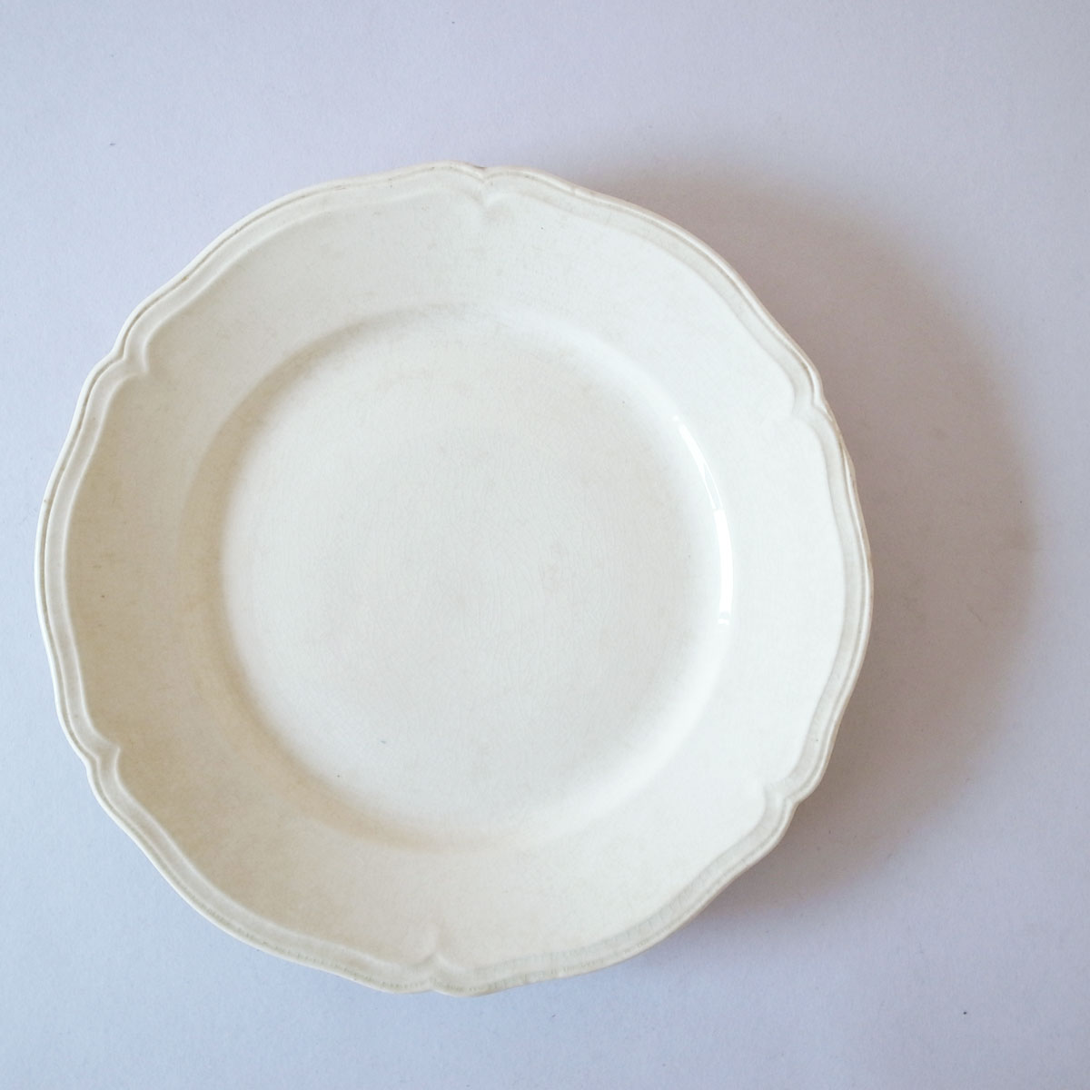 AeB[N 20I v[g(SCI) | ԃ-image4