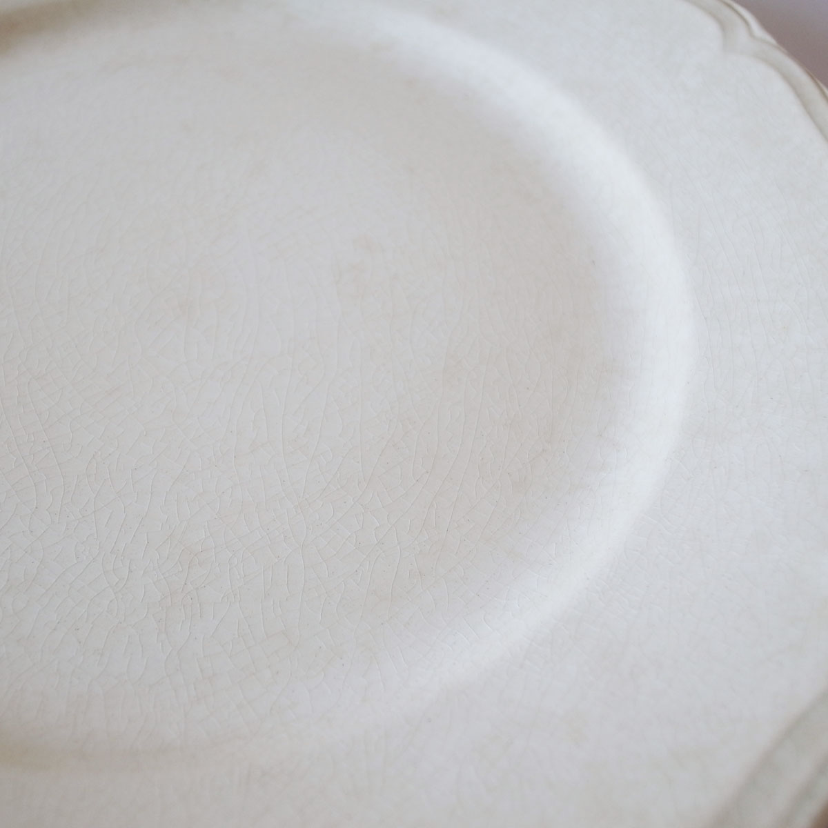 AeB[N 20I v[g(SCI) | ԃ-image6