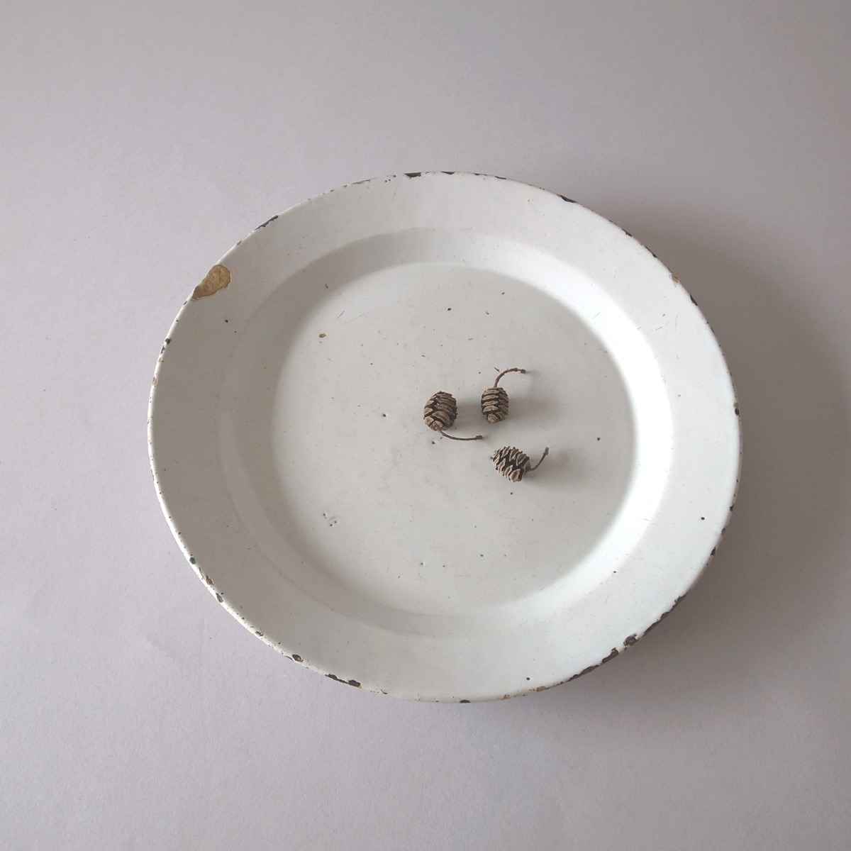 アンティーク 19世紀 マヨリカ プレート(大)2 | 大皿 | 白錫釉 | マイオリカ-image17