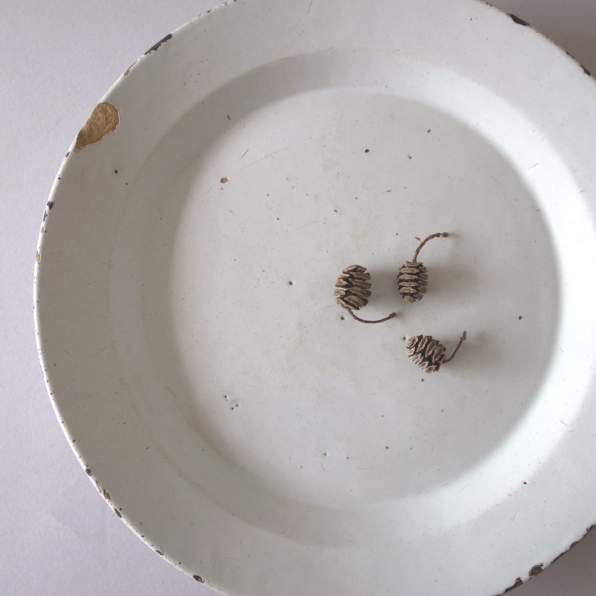 アンティーク 19世紀 マヨリカ プレート(大)2 | 大皿 | 白錫釉 | マイオリカ-image18