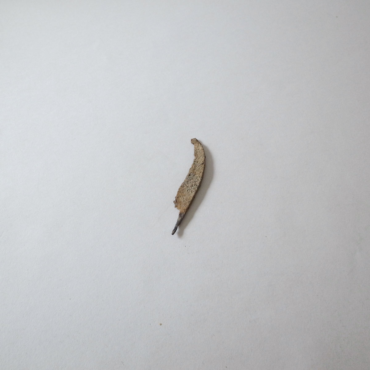 �A���e�B�[�N 700-900�N �����i�C�t5-image4