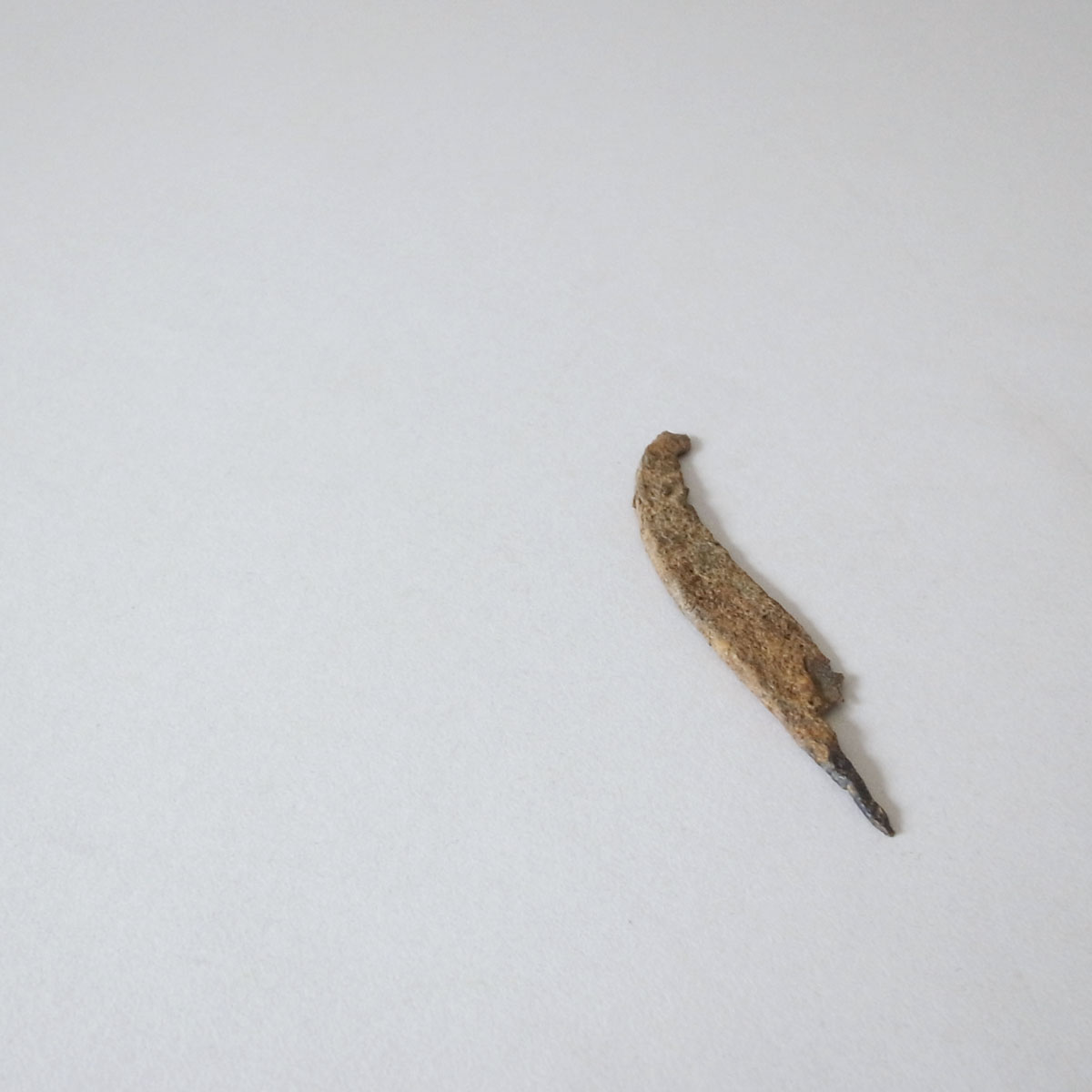 �A���e�B�[�N 700-900�N �����i�C�t5-image9