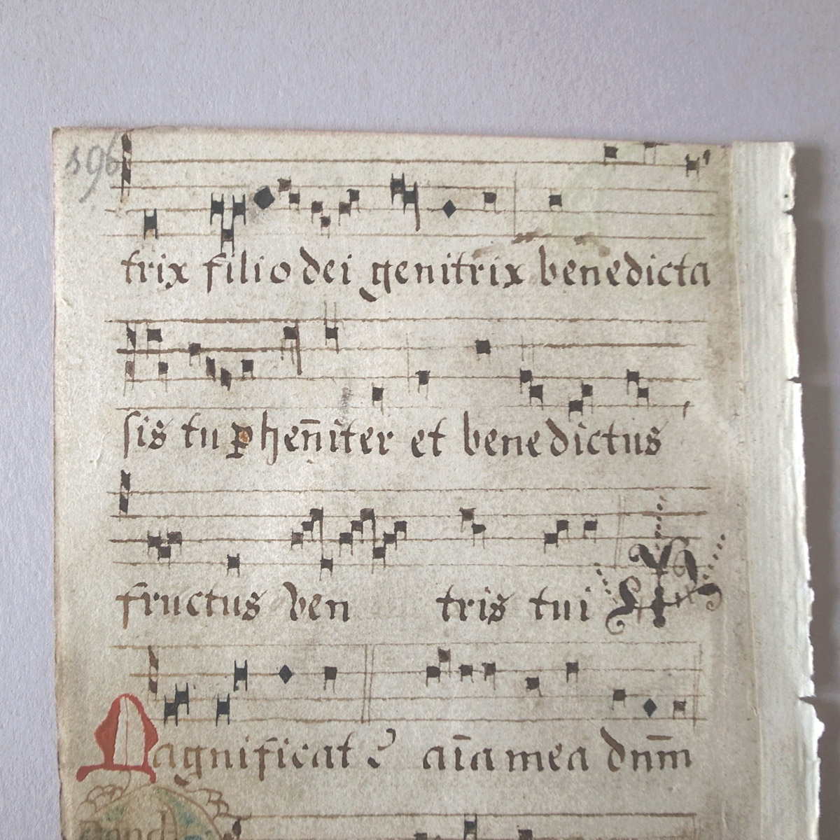 AeB[N 16I lE} | ʖ{ | 16th century manuscript-image10
