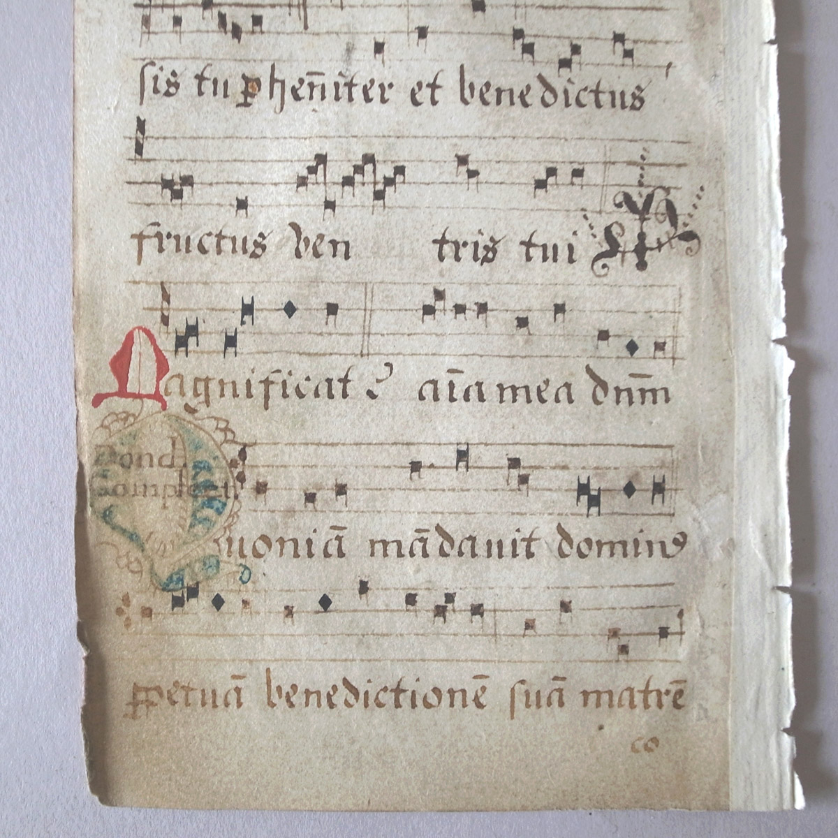 AeB[N 16I lE} | ʖ{ | 16th century manuscript-image11