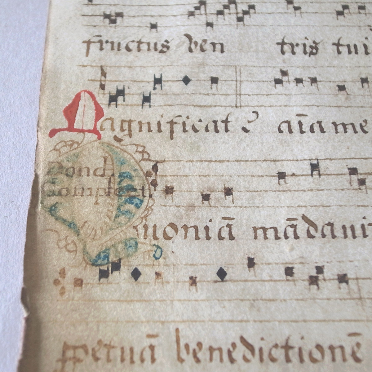 AeB[N 16I lE} | ʖ{ | 16th century manuscript-image12