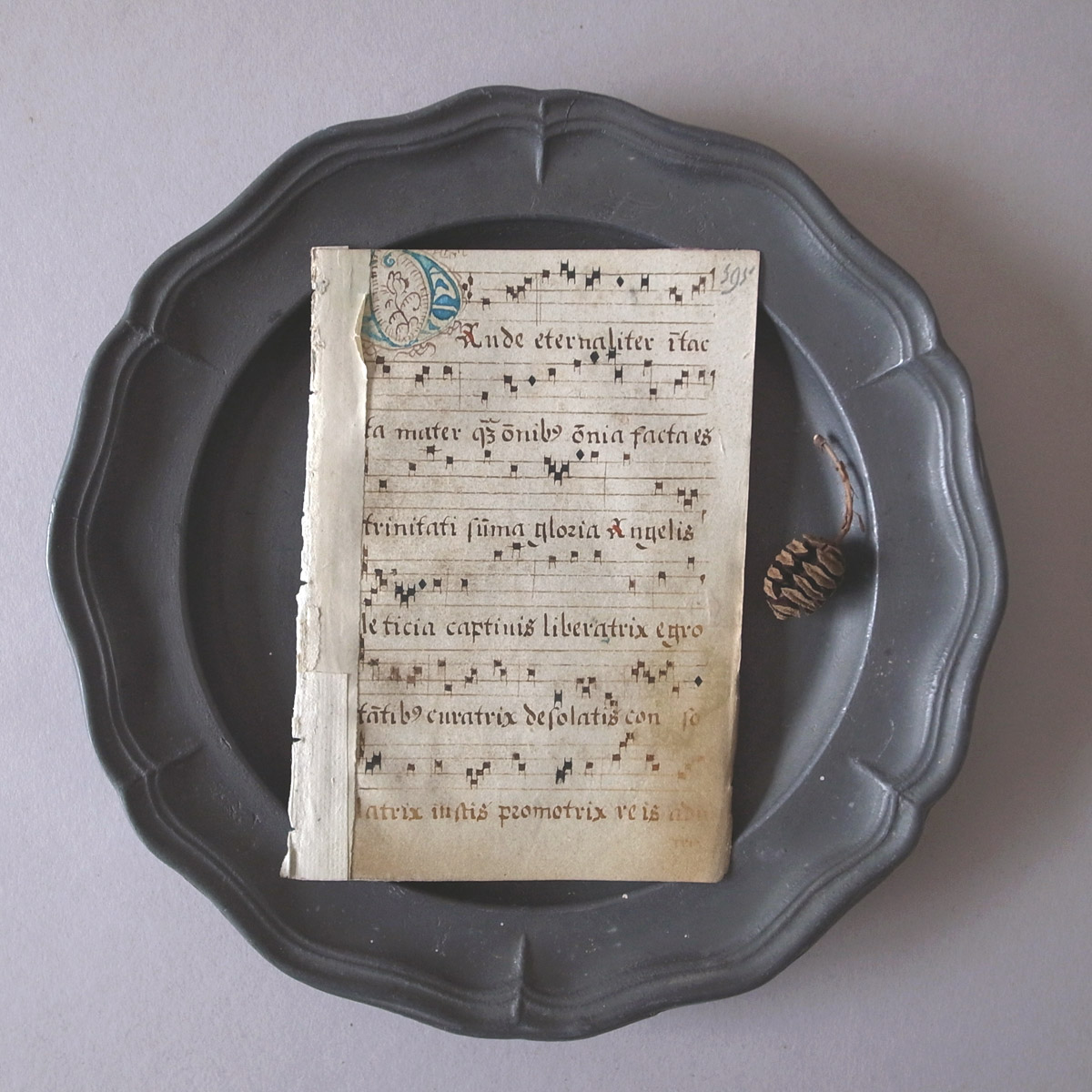 AeB[N 16I lE} | ʖ{ | 16th century manuscript-image14