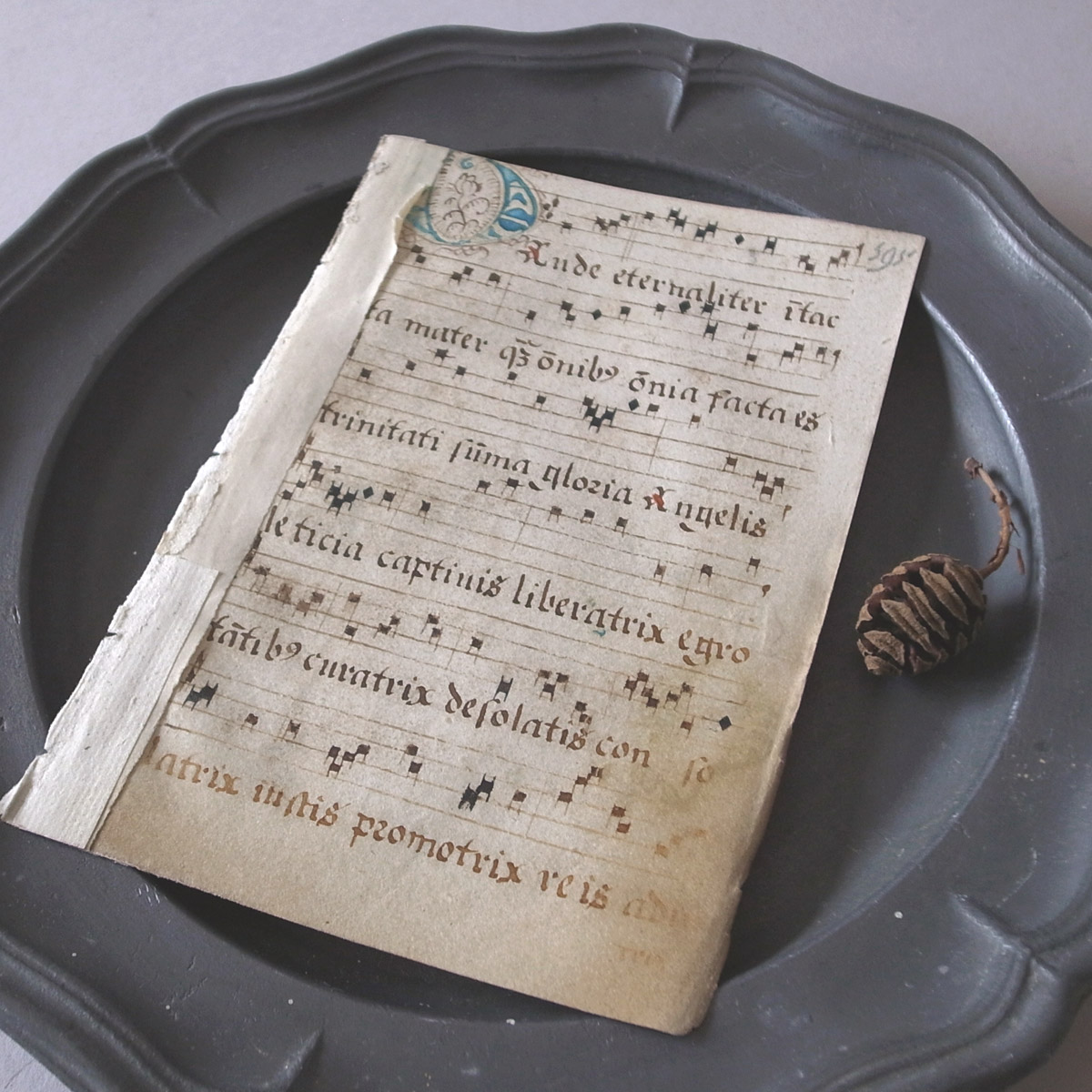 AeB[N 16I lE} | ʖ{ | 16th century manuscript-image15