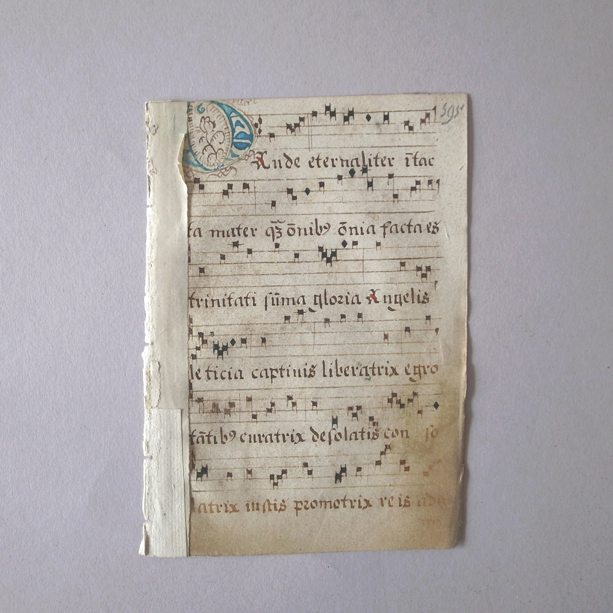 AeB[N 16I lE} | ʖ{ | 16th century manuscript-image2