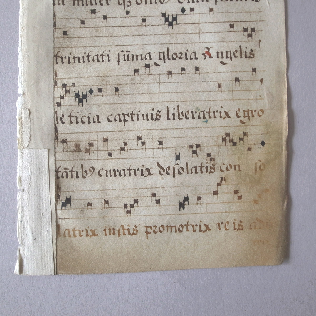 AeB[N 16I lE} | ʖ{ | 16th century manuscript-image3