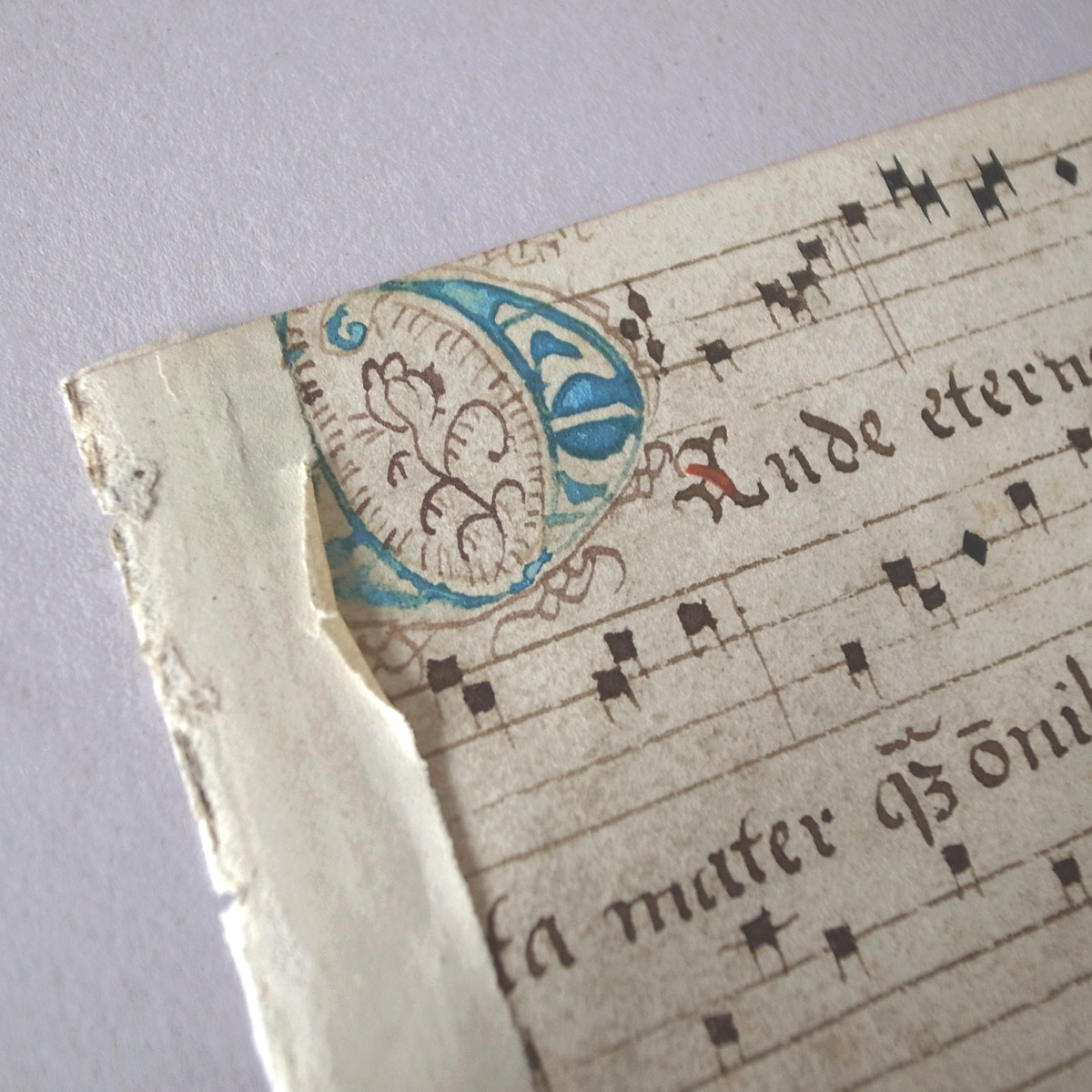 AeB[N 16I lE} | ʖ{ | 16th century manuscript-image4