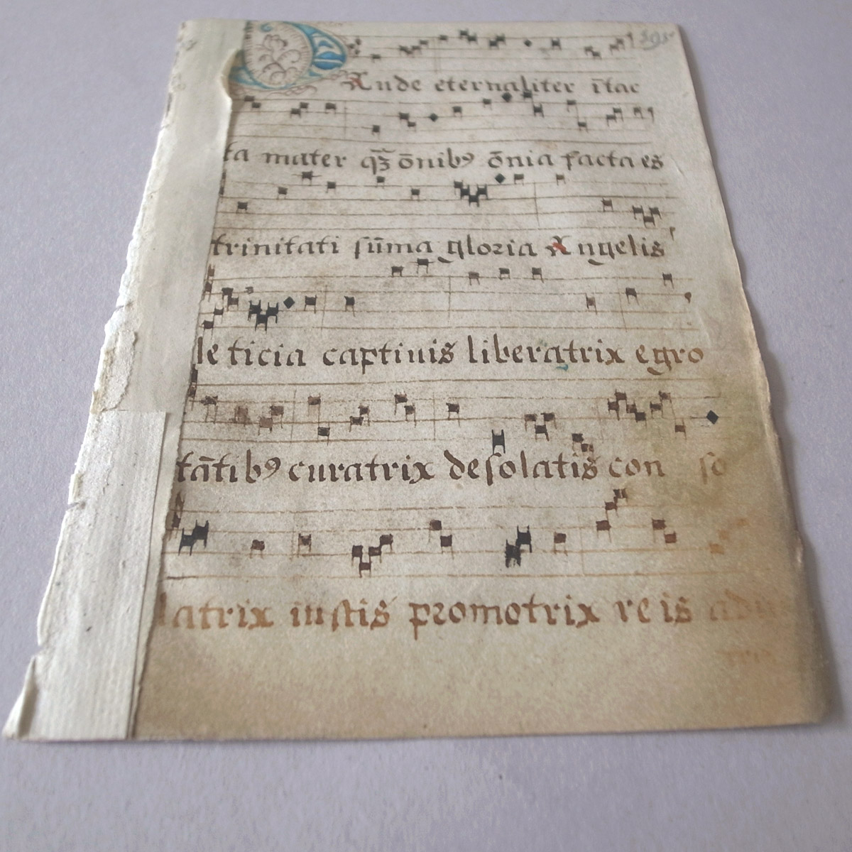 AeB[N 16I lE} | ʖ{ | 16th century manuscript-image5