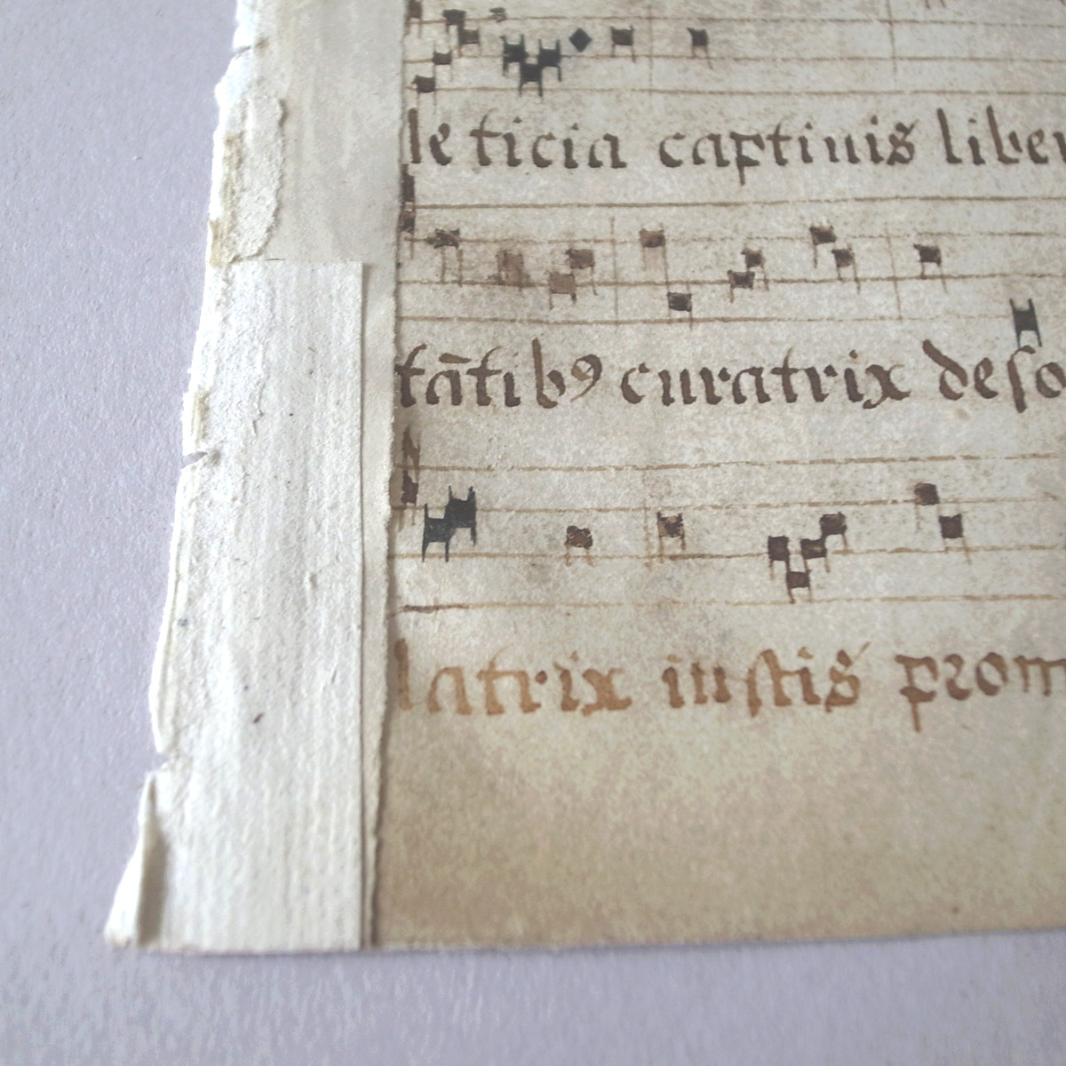 AeB[N 16I lE} | ʖ{ | 16th century manuscript-image6