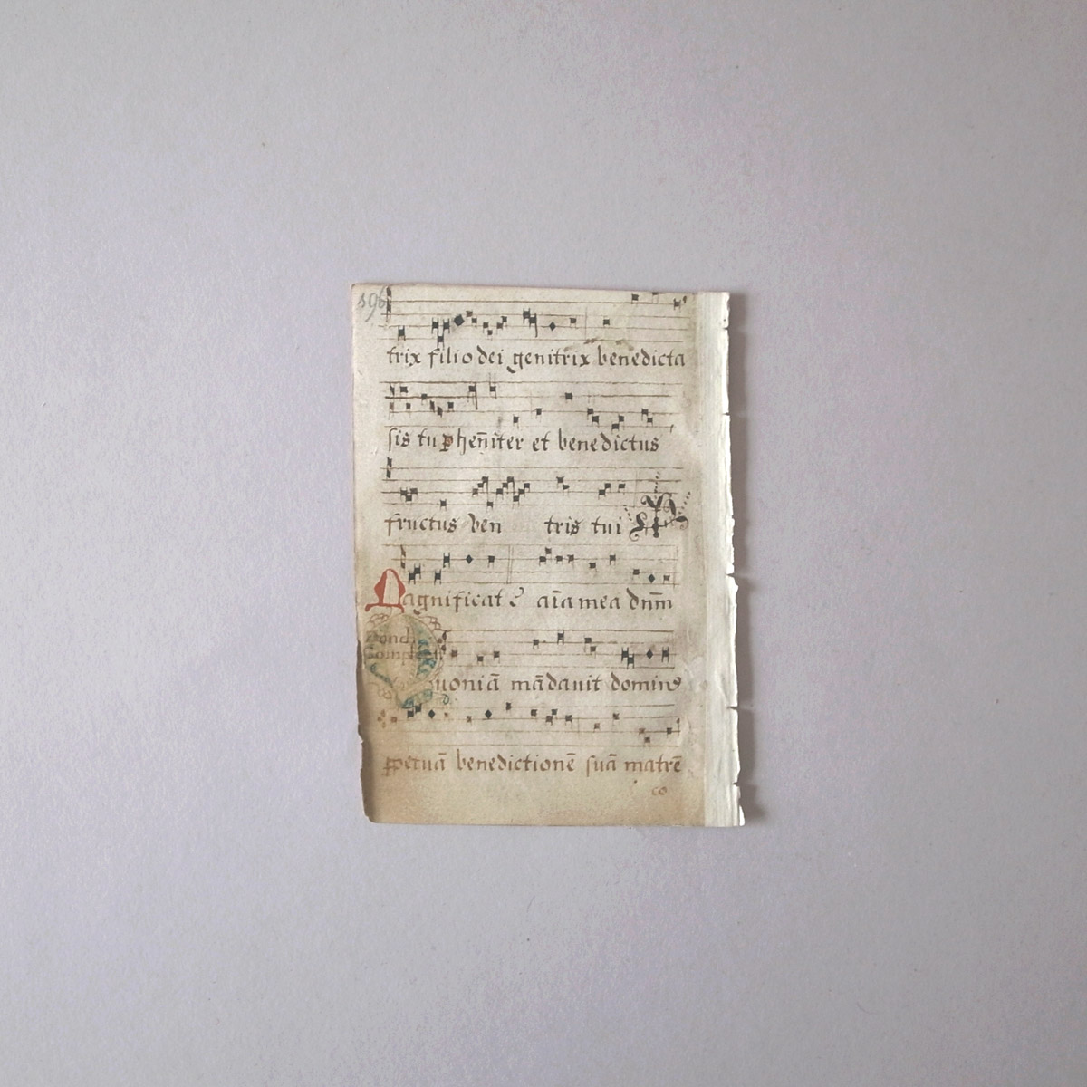 AeB[N 16I lE} | ʖ{ | 16th century manuscript-image8