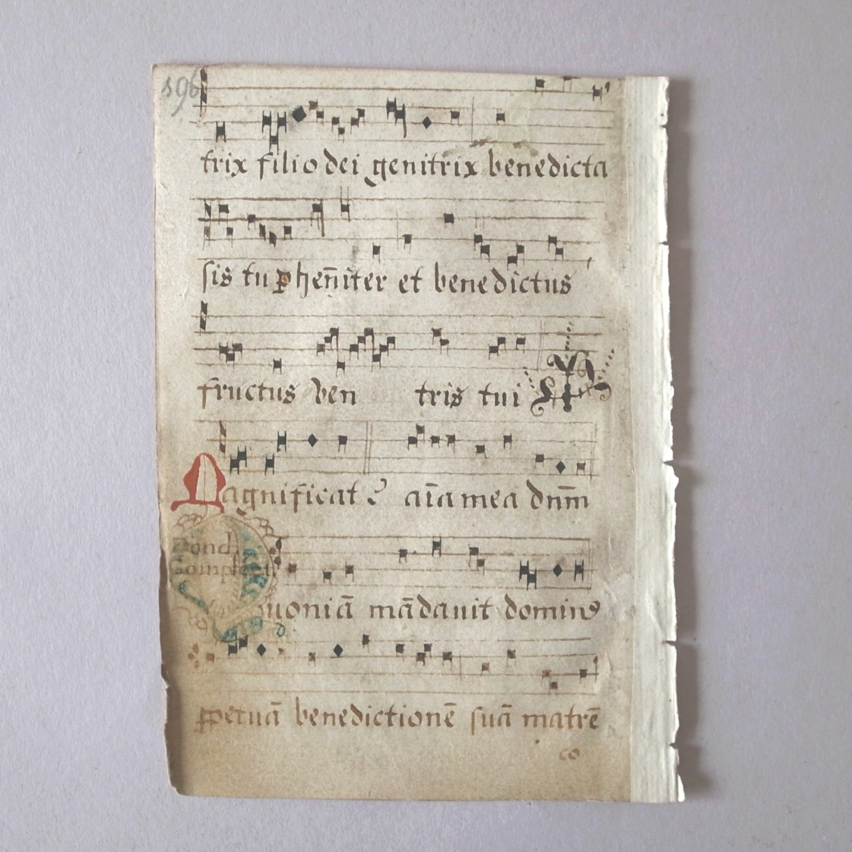 AeB[N 16I lE} | ʖ{ | 16th century manuscript-image9