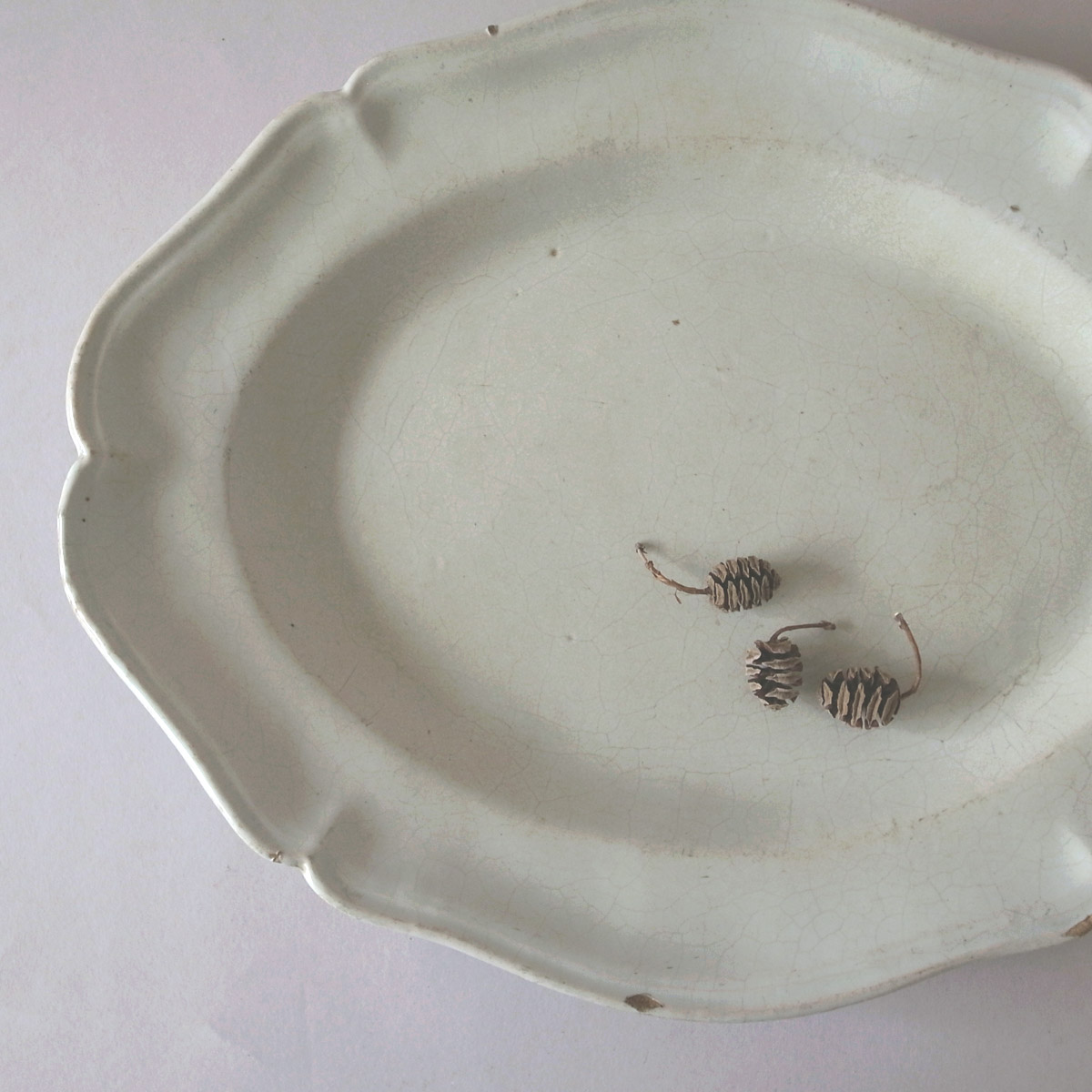 アンティーク 18世紀 マヨリカ オーバル皿 | 花リム | 白錫釉