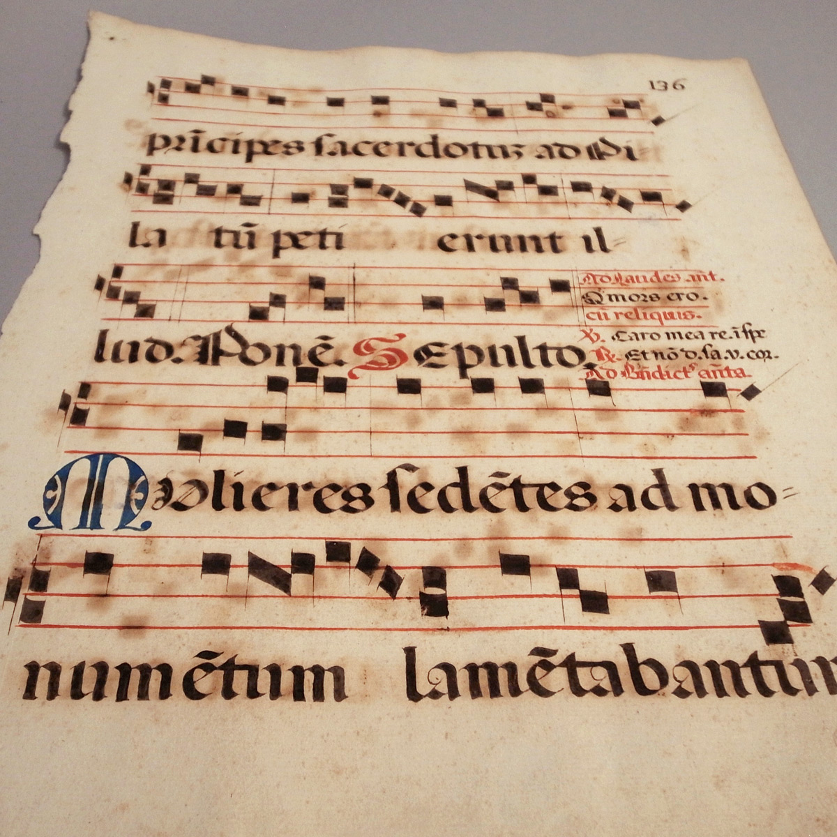 16-17世紀 羊皮紙 交唱聖歌 楽譜 2枚 グレゴリオ聖歌 アンティーク 
